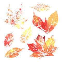  Watercolor colorful ink printing leaves