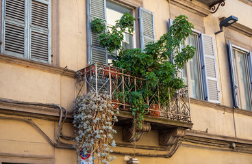 Cute little balcony decorated with green plants in the old town in Viterbo, Italy