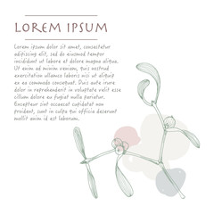 Christmas background with mistletoe plant pastel color corner with brush stroke