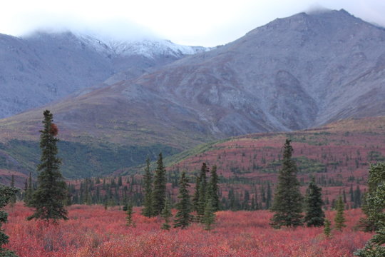 PanaromaLlandschaft Alaska