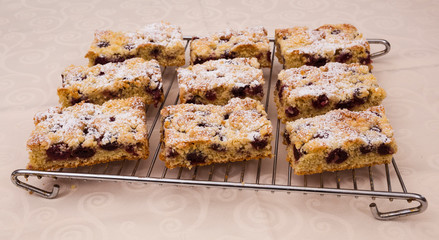 Slice of cherry Crumb cake on a oven shelf