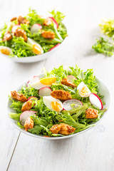 Salad with mixed ingredients pieces of chicken breast egg radish and olive oil