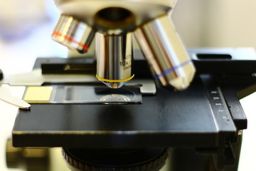 Microscope and histological and histological specimen