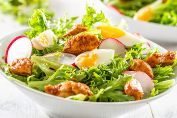 Salad with mixed ingredients pieces of chicken breast egg radish and olive oil