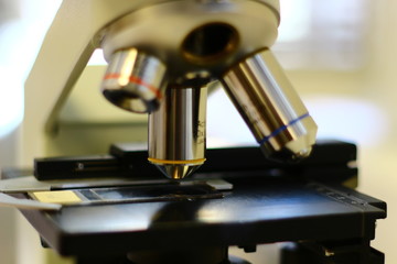 Microscope and histological and histological specimen