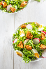 Salad with mixed ingredients pieces of chicken breast egg radish and olive oil