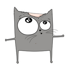 sketch of a cat drawn in vector with baldness on the head and alopecia, preparing for hair transplant