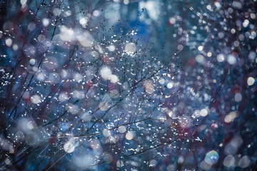 Fototapeta na wymiar Defocused bokeh beautiful colorful art background - photo of shrub branch with red berries without leaves covered with ice on a sunny winter day. Backdrop