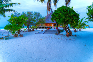 Tropical bungalow on the amazing beach with a palm tree