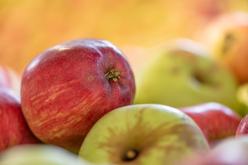 Some Ripe fall apples against glowing blurred background in season autumn