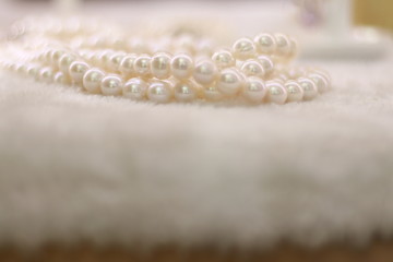 White natural japanese pearl necklace on fur background