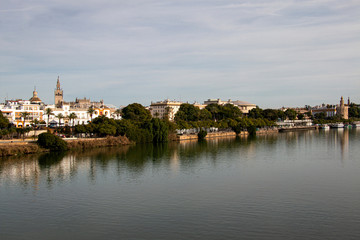 Fototapeta na wymiar A orillas del Guadalquivir