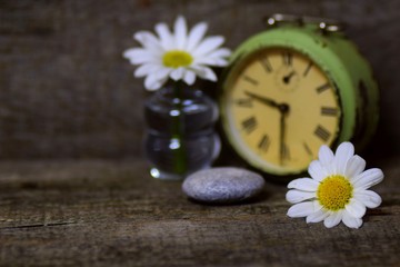 clock and flower on background