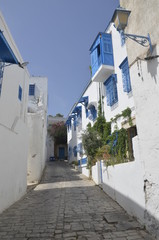 Medina. Cityscape with white blue colored houses in resort town Sidi Bou Said. Arabian culture. Tunisia, North Africa. Background.