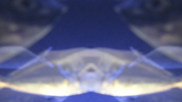 Underwater HD footage of Mediterranean sea with group of Gilt-head bream dorade fish abstract composite footage - time lapse fast motion