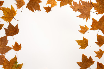 Background with colorful autumn leaves and place for text