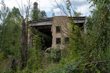 The ruins of an old factory and a chimney. An old factory overgrown with trees.