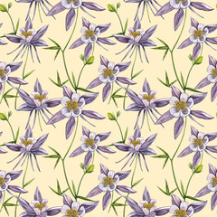 Double Columbine flowers. Seamless pattern. Collection of hand drawn flowers and plants. Watercolor set of flowers and leaves, hand drawn floral illustration isolated on a white background. Botanical