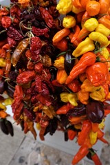 Pepper