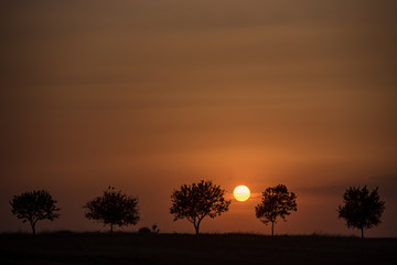 Fototapeta na wymiar Summer sunset in the countryside