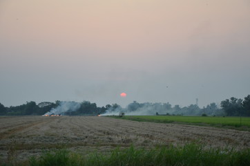 Sunset Fire Field