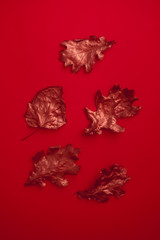Rose gold colored fall leaves on red background from above. Autumnal minimalism flatlay. Vertical