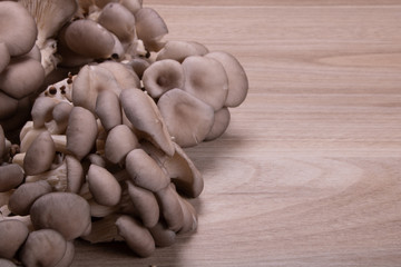 shimeji on wood background