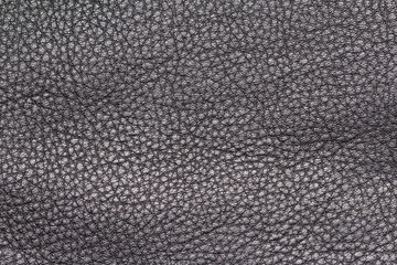 Leather texture black color. Genuine leather. Skin outer cover of the animal's body