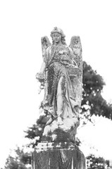Fototapeta premium statue of an angel in cemetery