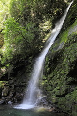 Fototapeta na wymiar 琵琶の滝 (徳島)