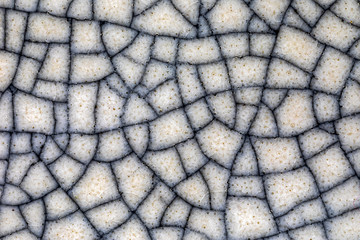 extreme close-up of a  ceramic glaze, white with black crackles