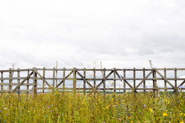 Fototapeta premium look at the field through an old wooden fence, close up