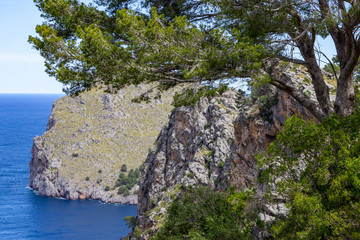 Scenic view at landscape on Serra de Tramuntana in the north of mallorca between Lluc and Sa Calobra