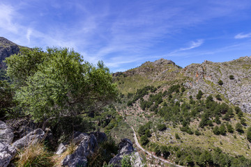 Fototapeta na wymiar Scenic view at landscape of Serra de Tramuntana on island Mallorca, Spain on a sunny day