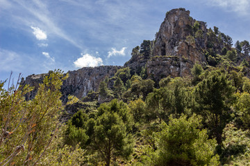 Fototapeta na wymiar Scenic view at landscape of Serra de Tramuntana on island Mallorca, Spain on a sunny day with rocks and green trees