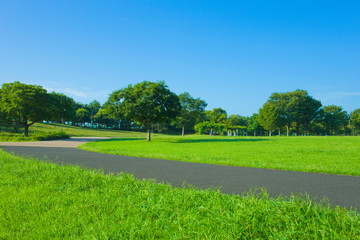 Obraz premium Park path