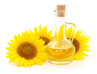Sunflower oil and flower.