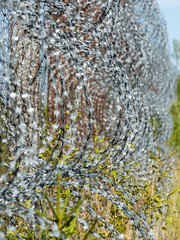 abstract view with stinging wire, applied to texture