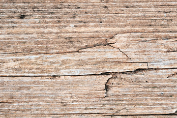 knots on an old wooden surface. wood texture. the background.