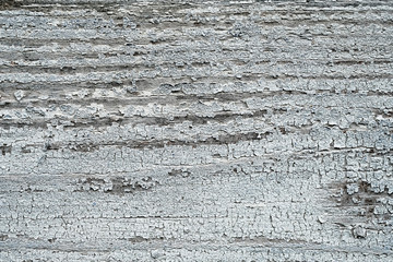 knots on an old wooden surface. wood texture. the background.