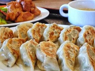 pot sticker or gyoza.Japanese fried dumplings in a white dish