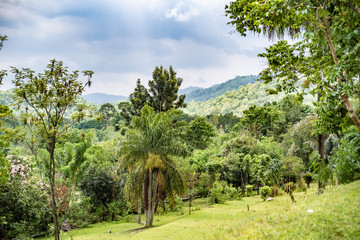 Green mountain landscape Thailand. Green mountain landscape in Thailand.