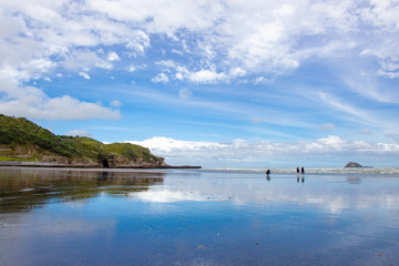 Panoramic view of Muriwai Regional Park, New Zealand