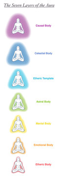 Seven aura bodies chart of a meditating yoga woman. Labeled chart - etheric, emotional, mental, astral, celestial and causal layer an template. Different rainbow colored auras. Vector white.