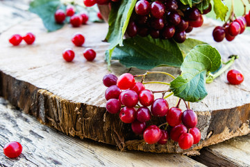 Closeup of red viburnum berries and green leaves on a wooden table. Viburnum on a wooden background. Autumn concept, harvesting, cooking.