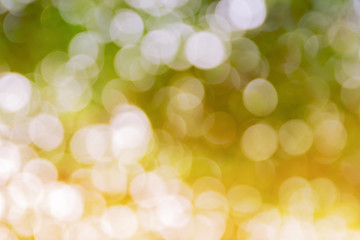 Obraz premium green bokeh natural color abstract blurred background Warm leaf of tree and bright summer sunlight