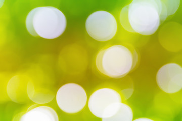 green bokeh natural color abstract blurred background Warm leaf of tree and bright summer sunlight