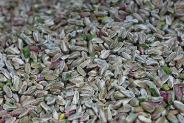 Pistachios in white porcelain bowls. Roasted pistachio seeds in shells and shelled