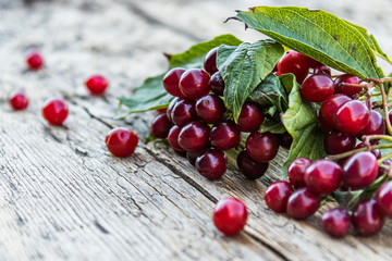 Closeup of red viburnum berries and green leaves on a wooden table. Viburnum on a wooden background. Autumn concept, harvesting, cooking.