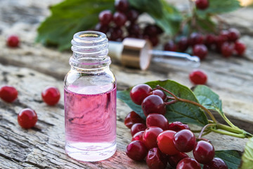 Elixir of viburnum berries in a glass bottle on a wooden table near a branch of red viburnum. Tincture or essential oil with viburnum.